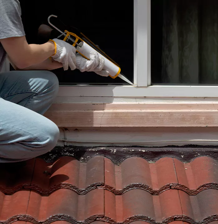 Roof Window Services in The Acreage, Florida